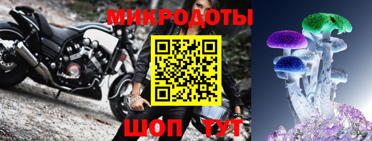 Галлюциногенные грибы мухоморы Долгопрудный