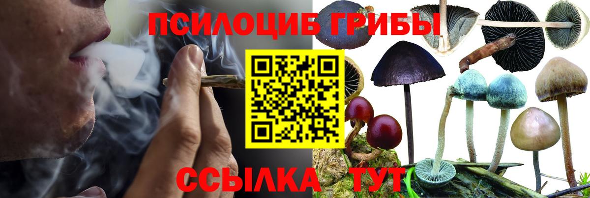 Псилоцибиновые грибы мицелий  Вход с VPN  Долгопрудный 